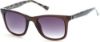 Picture of Candies Sunglasses CA1007