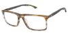 Picture of Champion Eyeglasses LIT100