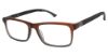 Picture of Champion Eyeglasses SCOREX