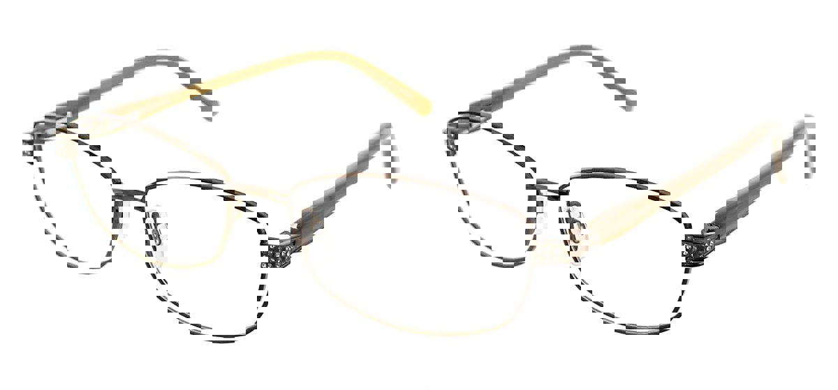Picture of Clearvision Eyeglasses BRICE