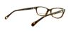 Picture of D&G Eyeglasses DD1205