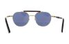 Picture of Diesel Sunglasses DL0239