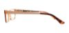 Picture of Guess Eyeglasses GU2538