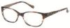 Picture of Guess By Marciano Eyeglasses GM0243