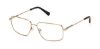 Picture of Harley Davidson Eyeglasses HD0954