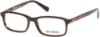 Picture of Harley Davidson Eyeglasses HD0129T