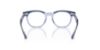 Picture of Ray Ban Jr Eyeglasses RY9098V