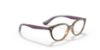 Picture of Ray Ban Jr Eyeglasses RY1612