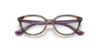 Picture of Ray Ban Jr Eyeglasses RY1612