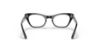Picture of Ray Ban Jr Eyeglasses RY9099V