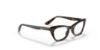 Picture of Ray Ban Jr Eyeglasses RY9099V