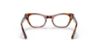 Picture of Ray Ban Jr Eyeglasses RY9099V