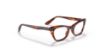 Picture of Ray Ban Jr Eyeglasses RY9099V