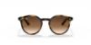 Picture of Ray Ban Jr Sunglasses RJ9064S
