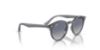 Picture of Ray Ban Jr Sunglasses RJ9064S