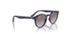 Picture of Ray Ban Jr Sunglasses RJ9064S