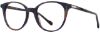 Picture of Scott Harris Eyeglasses SH-X 012