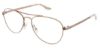 Picture of Steve Madden Eyeglasses DREAMMY