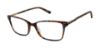 Picture of Ted Baker Eyeglasses TFW005