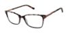 Picture of Ted Baker Eyeglasses TFW005