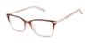 Picture of Ted Baker Eyeglasses TFW005