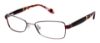 Picture of Ted Baker Eyeglasses B228