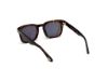Picture of Tom Ford Sunglasses FT0751
