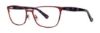 Picture of Vera Wang Eyeglasses V387