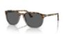 Picture of Persol Sunglasses PO3019S