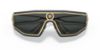 Picture of Versace Sunglasses VE2226